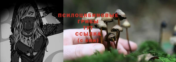 марки lsd Абаза
